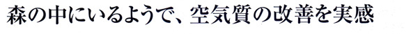 森のなかにいるよう