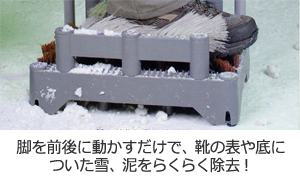 ƌC̉ꗎƂɃLhIgV