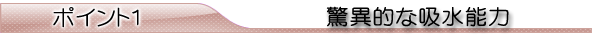 ポイント1 驚異的な吸水能力