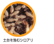 yIރVA