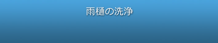 雨樋の洗浄