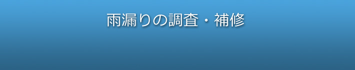 雨漏り修理工事