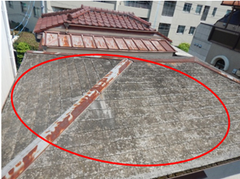 大屋根の全景写真 大屋根の全景写真
