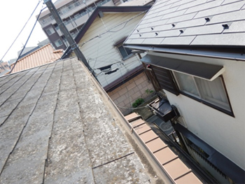 軒先・雨樋の点検 軒先・雨樋の点検