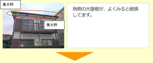 南側の大屋根がよーくみると破損してます。