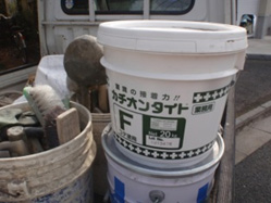 カチオン1 カチオン1