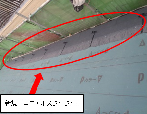 新規コロニアルスターター 新規コロニアルスターター