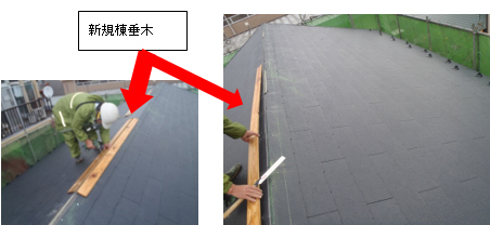 新規棟垂木設置状況 新規棟垂木設置状況