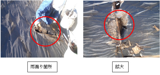 雨漏り箇所 雨漏り箇所