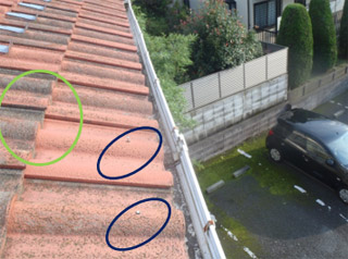 軒先瓦の状況 軒先瓦の状況