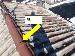 大屋根のU瓦の東側 大屋根のU瓦の東側