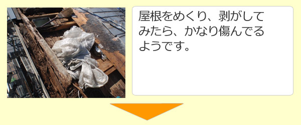 屋根をめくり、剥がしてみたら、かなり、傷んでるようです。