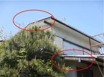 屋根破損の応急修理完了 屋根破損の応急修理完了