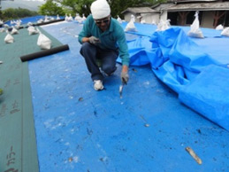 釘の撤去 釘の撤去