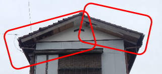 大屋根の軒天 大屋根の軒天