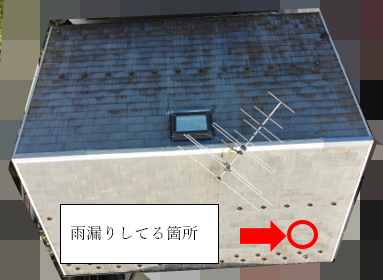 ドローンによる全体撮影と調査 ドローンによる全体撮影と調査